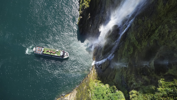 Milford Sound day tours