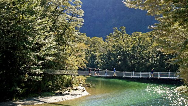 Walkers on a suspension bridge on the Milford Track Walk