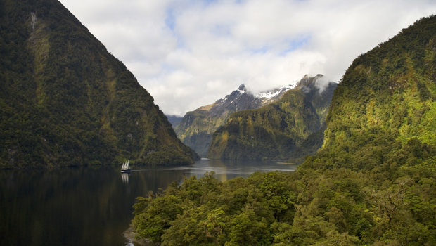 Boat sails through green mountains of Doubtful Sound