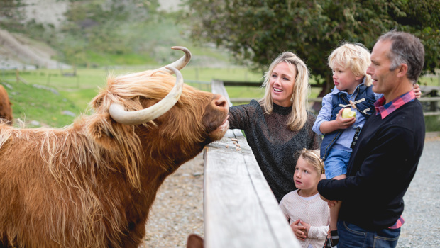 Family meeting the Highland Cows at Walter Peak High Country Farm