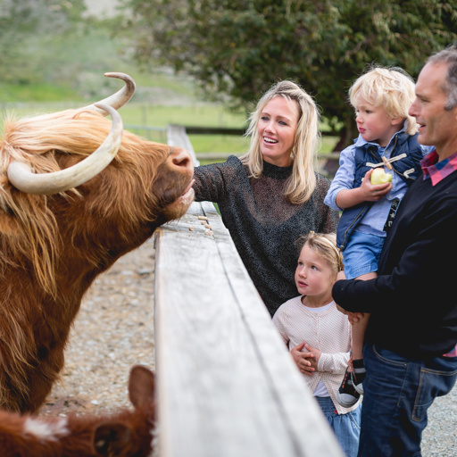 Family meeting the Highland Cows at Walter Peak High Country Farm