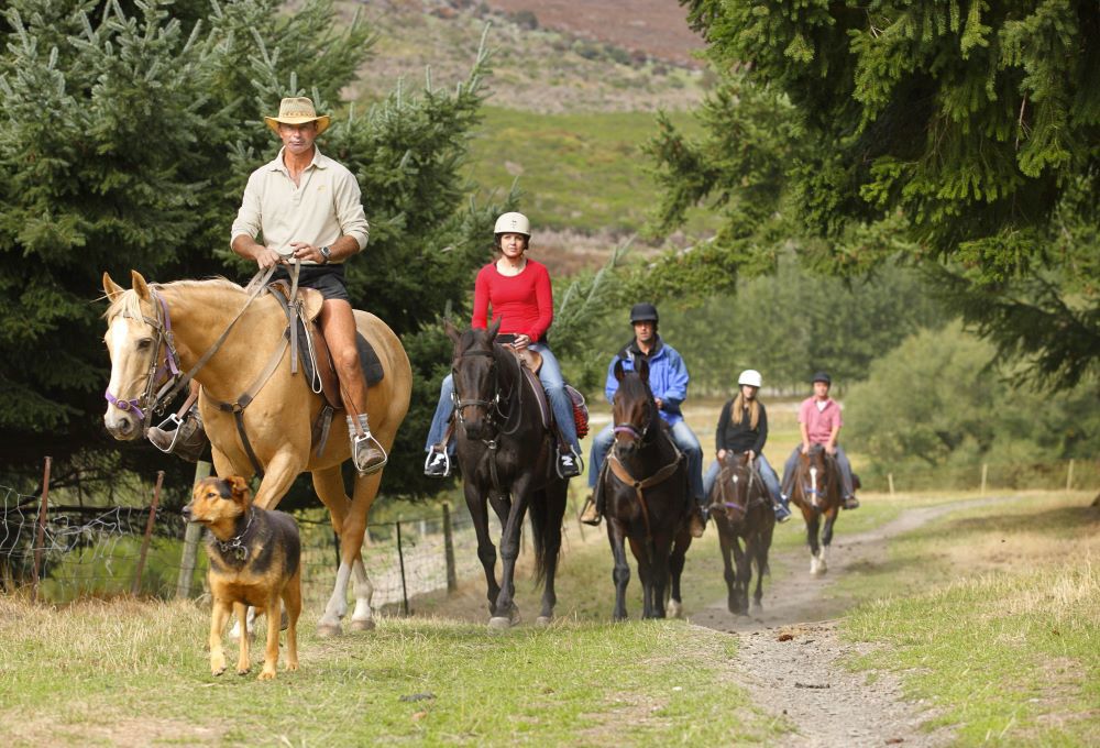 Group on horseback trekking through Walter Peak High Country Farm