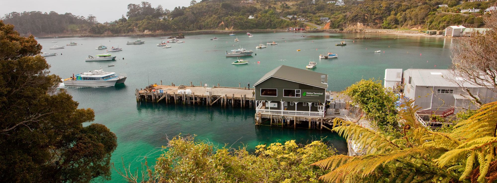 View of boats in Stewart Island marina