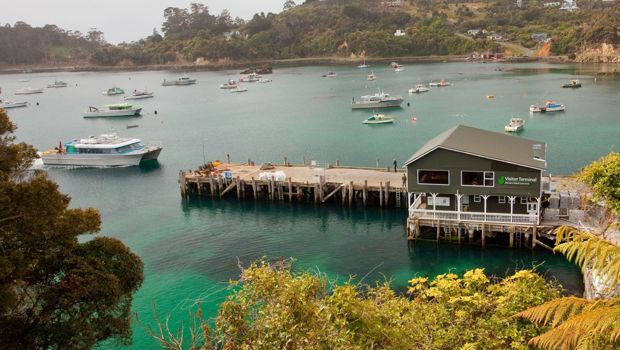 View of boats in Stewart Island marina