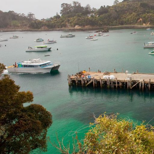 View of boats in Stewart Island marina