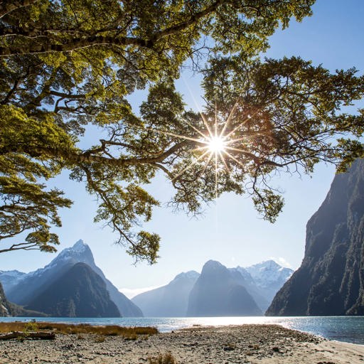 View from the foreshore at Milford Sound