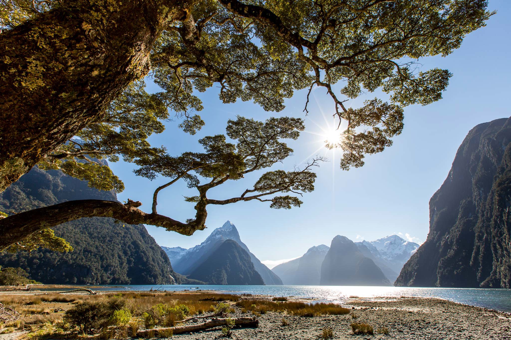 View from the foreshore at Milford Sound