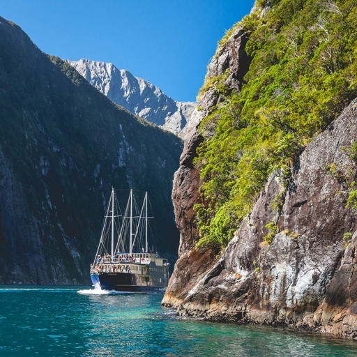 Boat cruising in Milford Sound