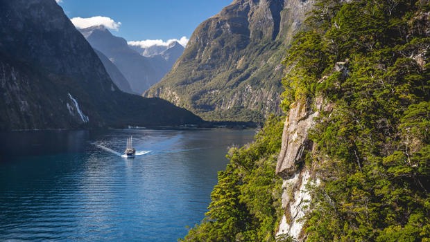 Boat cruising on a sunny day in Milford Sound