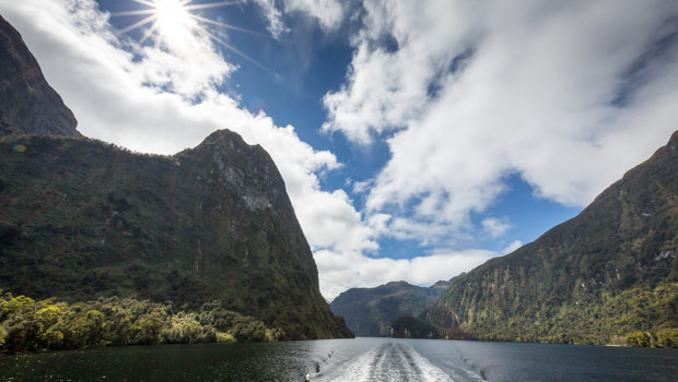 Wake of a boat cruising through Doubtful Sound