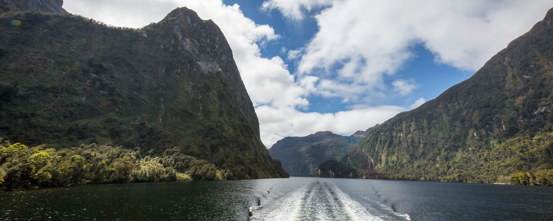 Wake of a boat cruising through Doubtful Sound