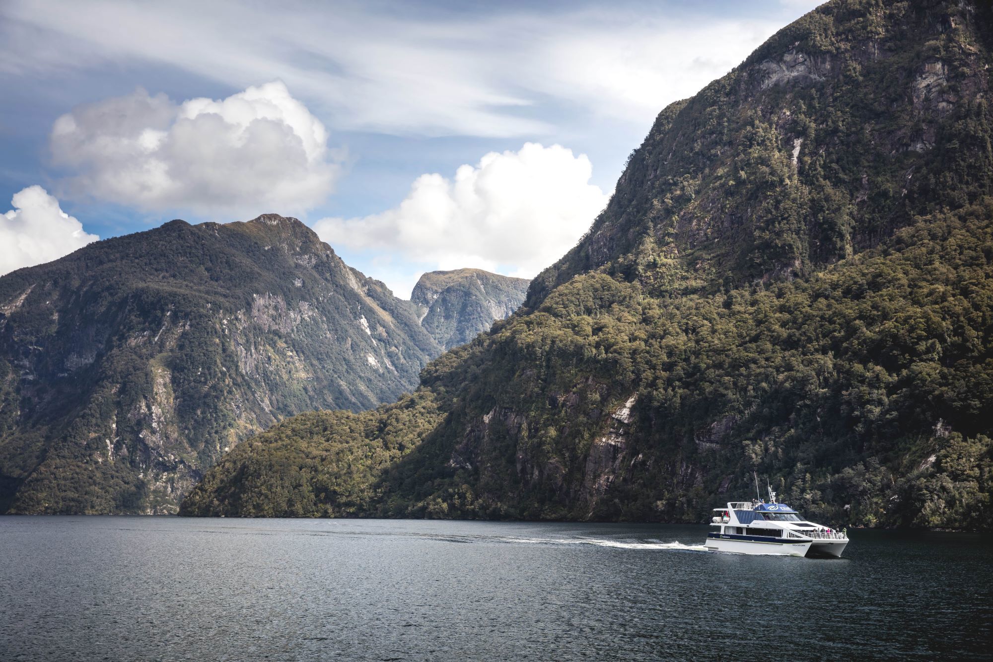 Patea Explorer in Doubtful Sound