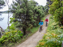 Two cyclists on track on Stewart Island