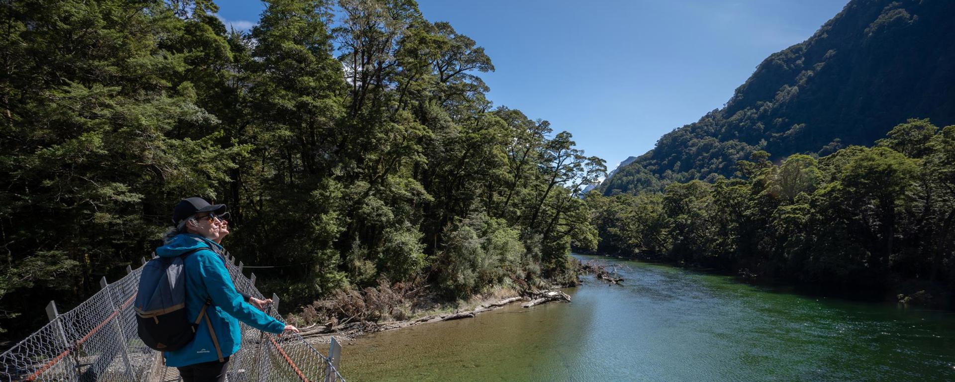 People walk across swing bridge over blue river on the Milford Track guided walk