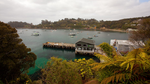 Catch the ferry to Stewart Island