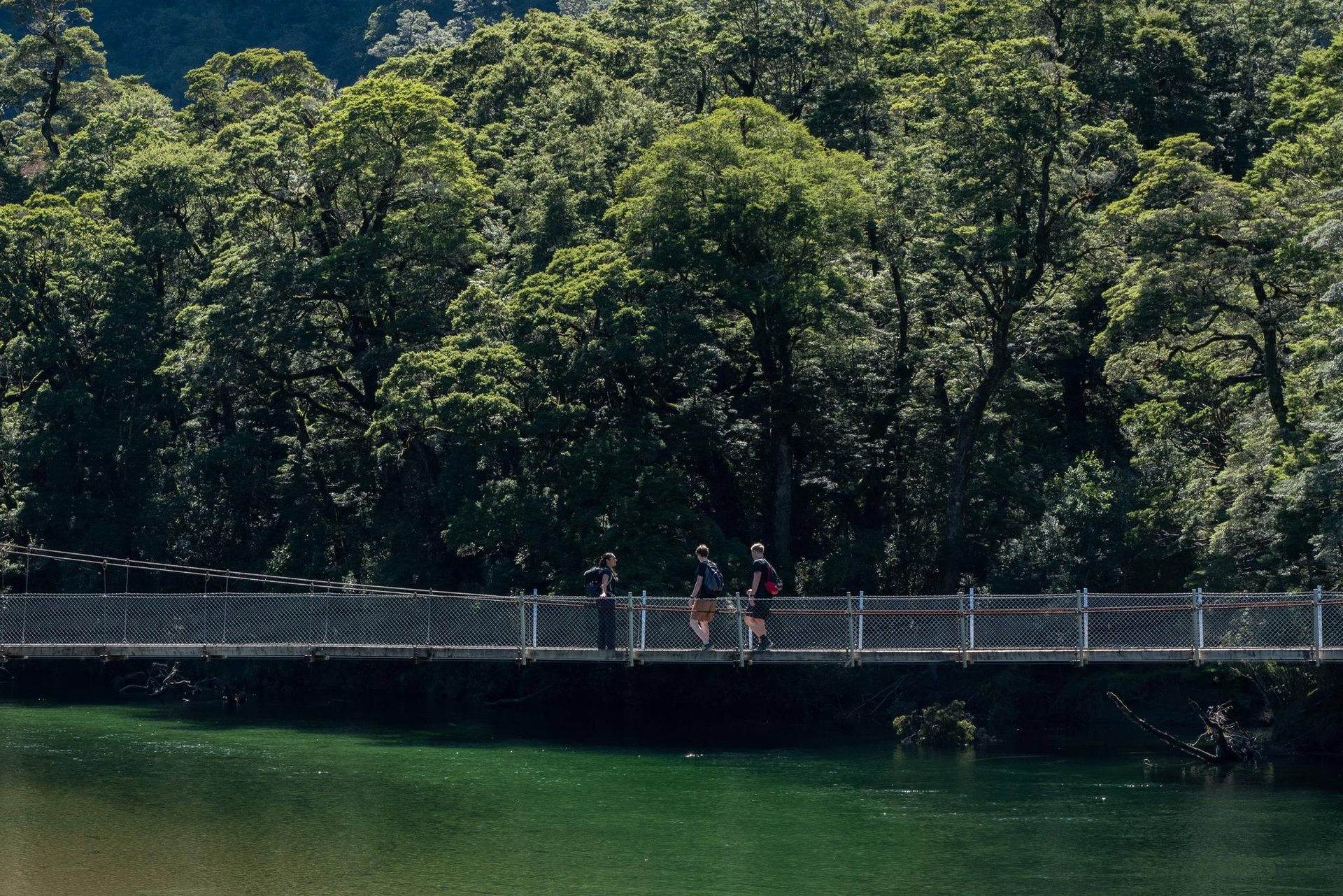 Three walkers on a swing bridge