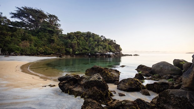 Beach on Rakiura