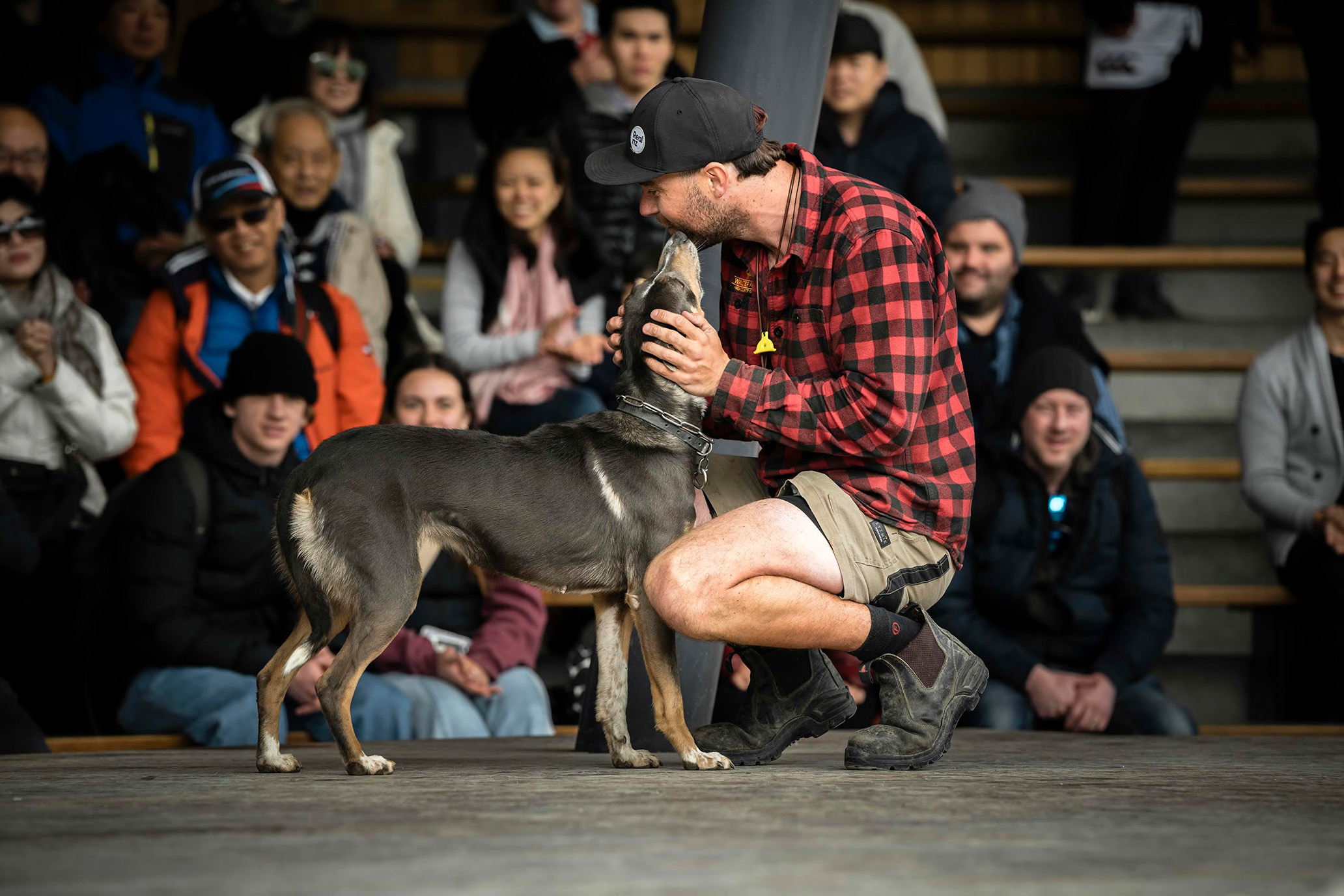 A realnz team member pats his sheepdog in front of crowd