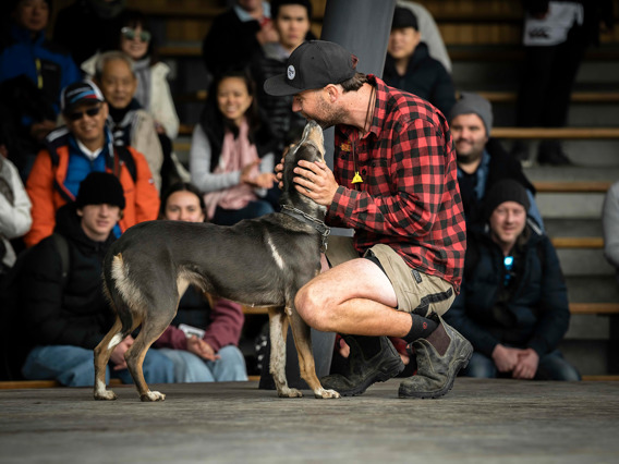 A realnz team member pats his sheepdog in front of crowd