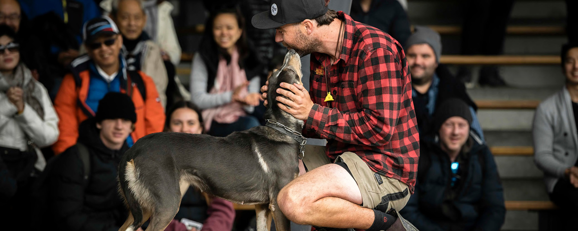 A realnz team member pats his sheepdog in front of crowd