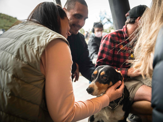 A couple pats working dog at Walter Peak farm show