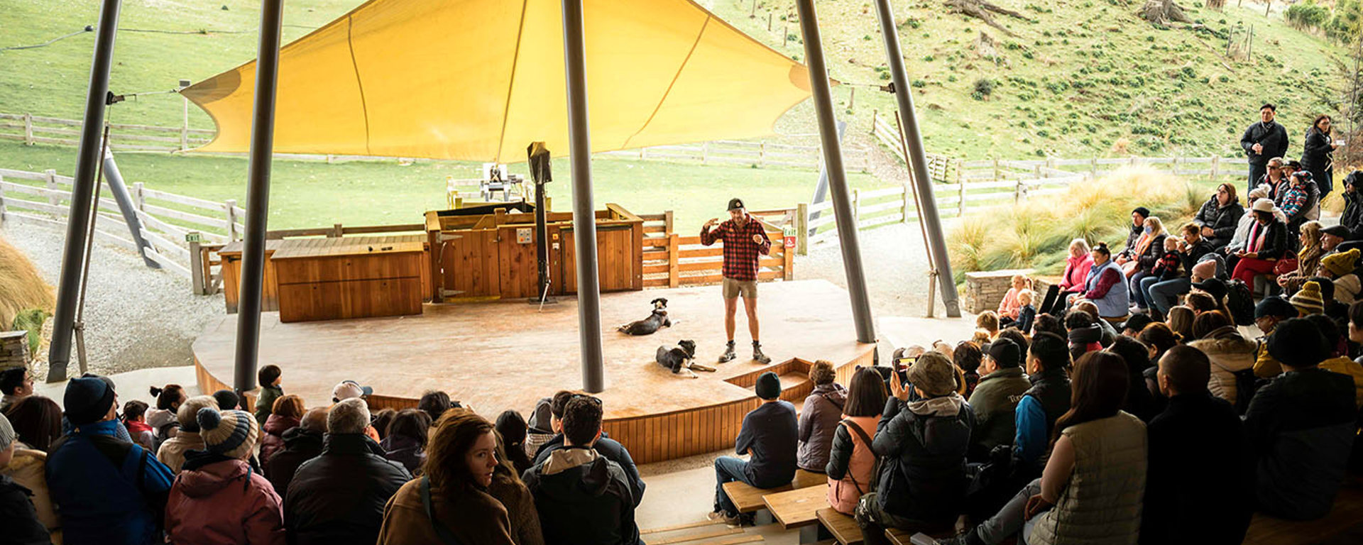 A guide demonstrates a farm show at Walter Peak High Country Farm