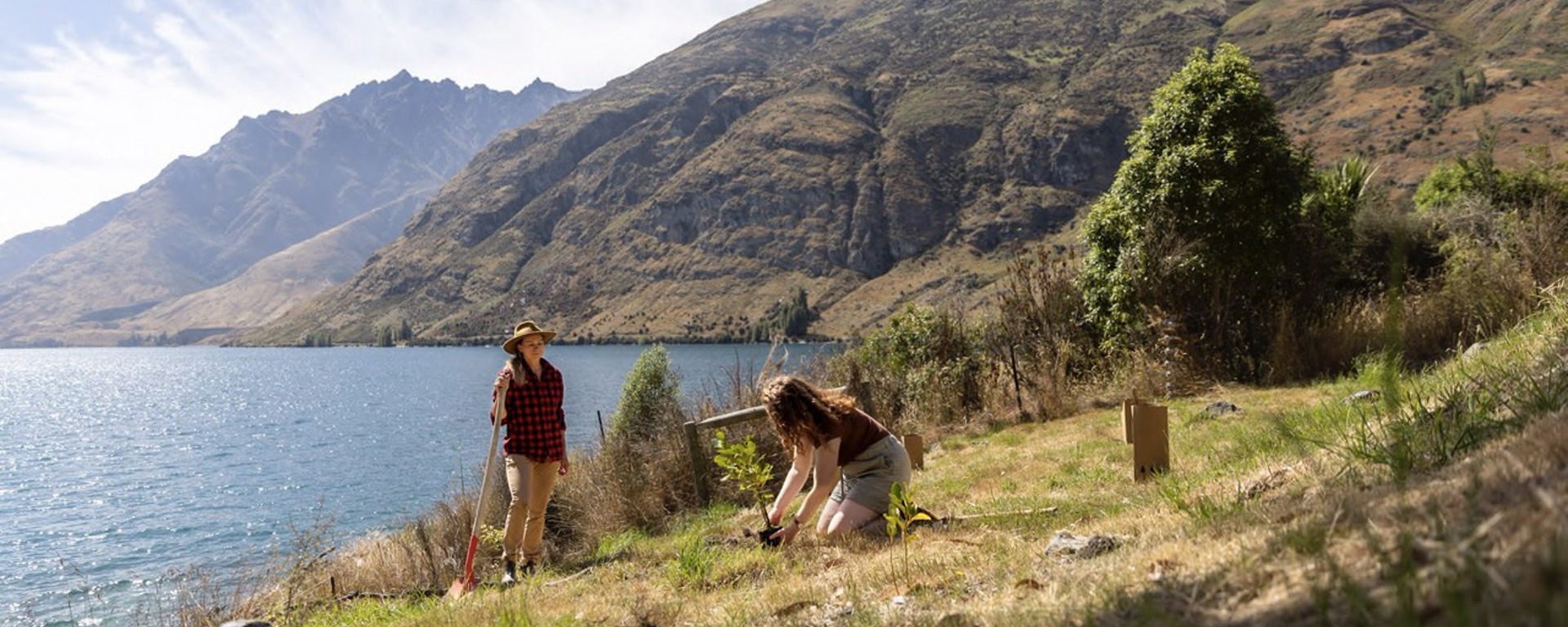 A woman plants a tree at the Walter Peak Eco Experience