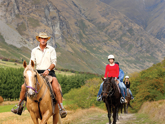 A dog leads a group on a horse trek through Walter Peak farm 