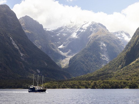 The Fiordland Navigator sailing in Milford Sound