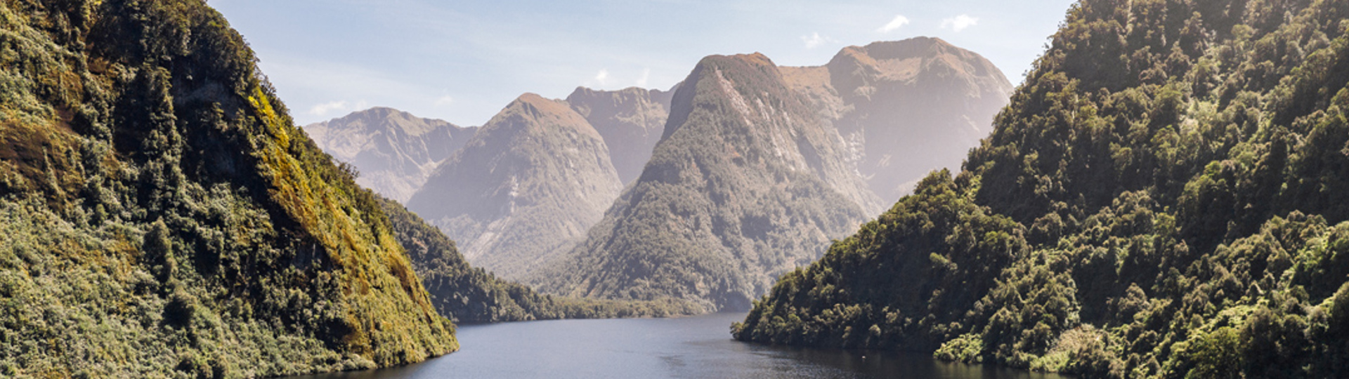 The day cruise vessel sailing in Doubtful Sound