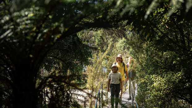 A group of people walking over a bridge in the forest