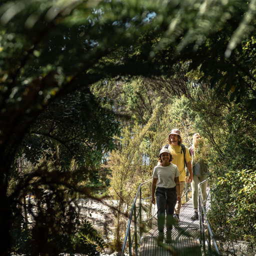 A group of people walking over a bridge in the forest