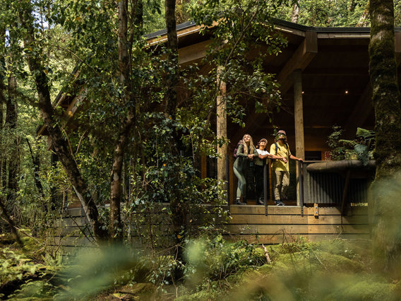 A group of people looking out at the forest