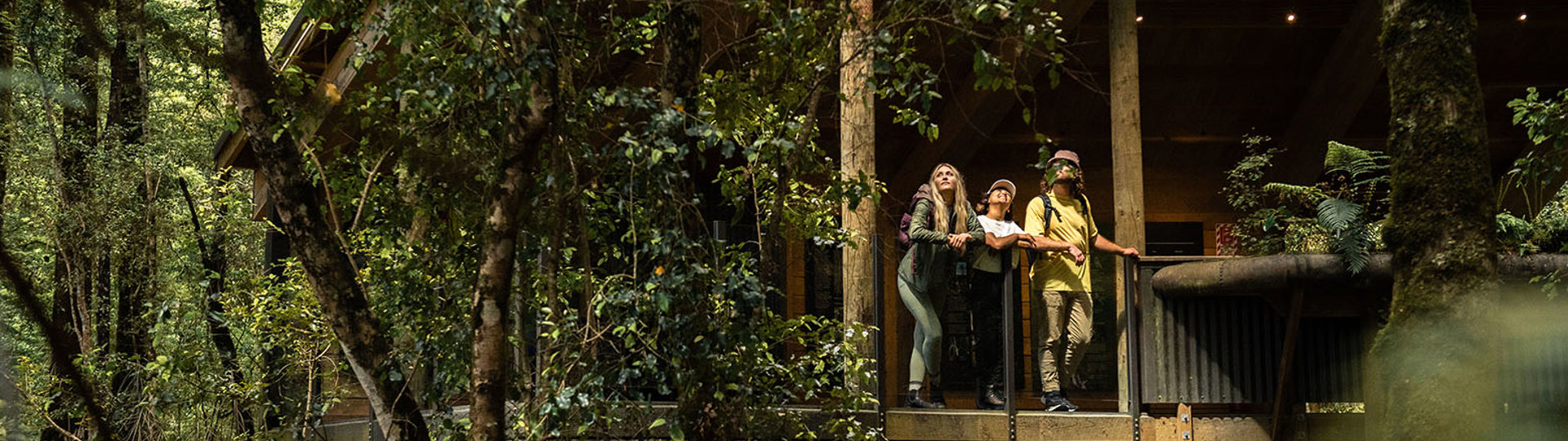 A group of people looking out at the forest