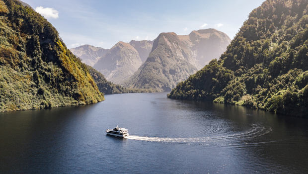 A cruise boat turns around in an arm of Doubtful Sound, NZ.