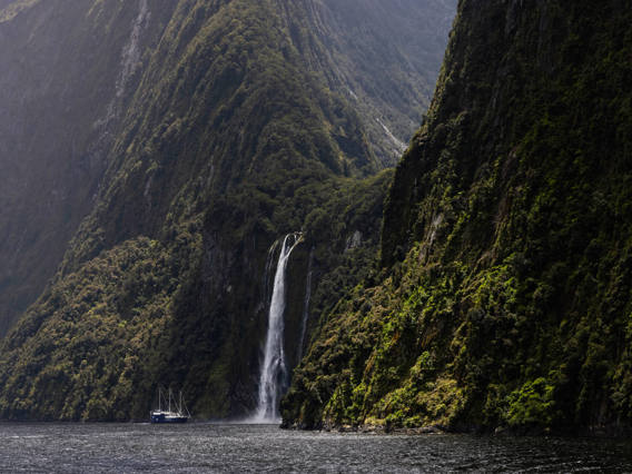 A large sailboat approaches the famous Stirling Falls in Milford Sound, NZ.