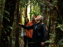 A guide taking a couple through the forest