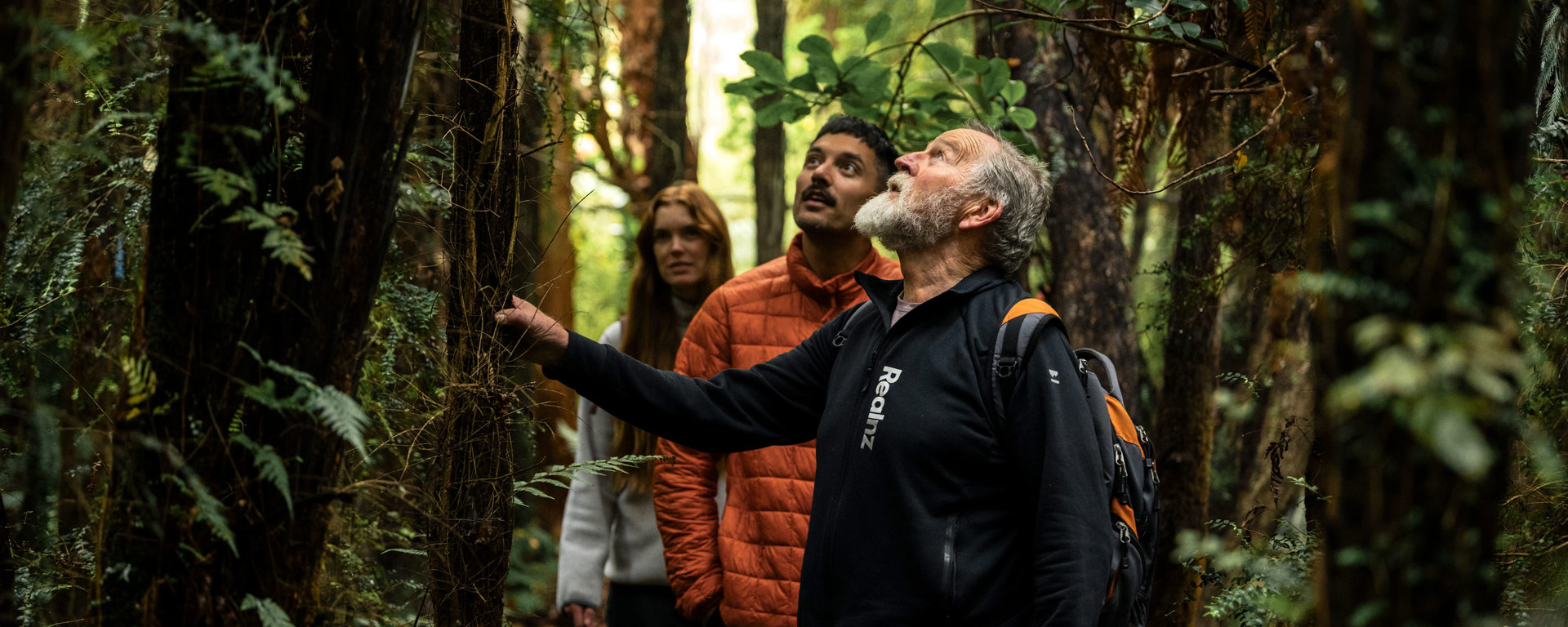 A guide taking a couple through the forest