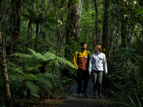 Two people walk through the forest