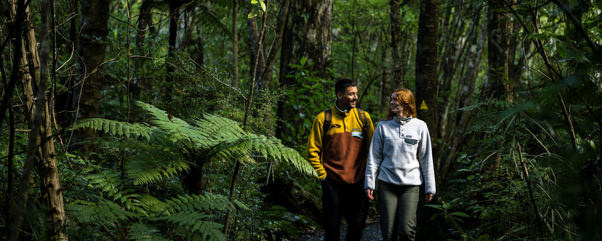 Two people walk through the forest