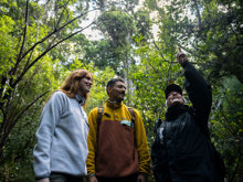 A guide showing a couple around a forest