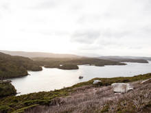 Expansive view from Bald Cone on Stewart Island, showcasing rugged coastline, scattered forested islands, and a boat cruising in the calm, reflective waters below.