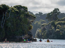 Group of kayakers paddling along a tranquil waterway on Stewart Island, surrounded by dense native forest and dappled sunlight reflecting off the water.