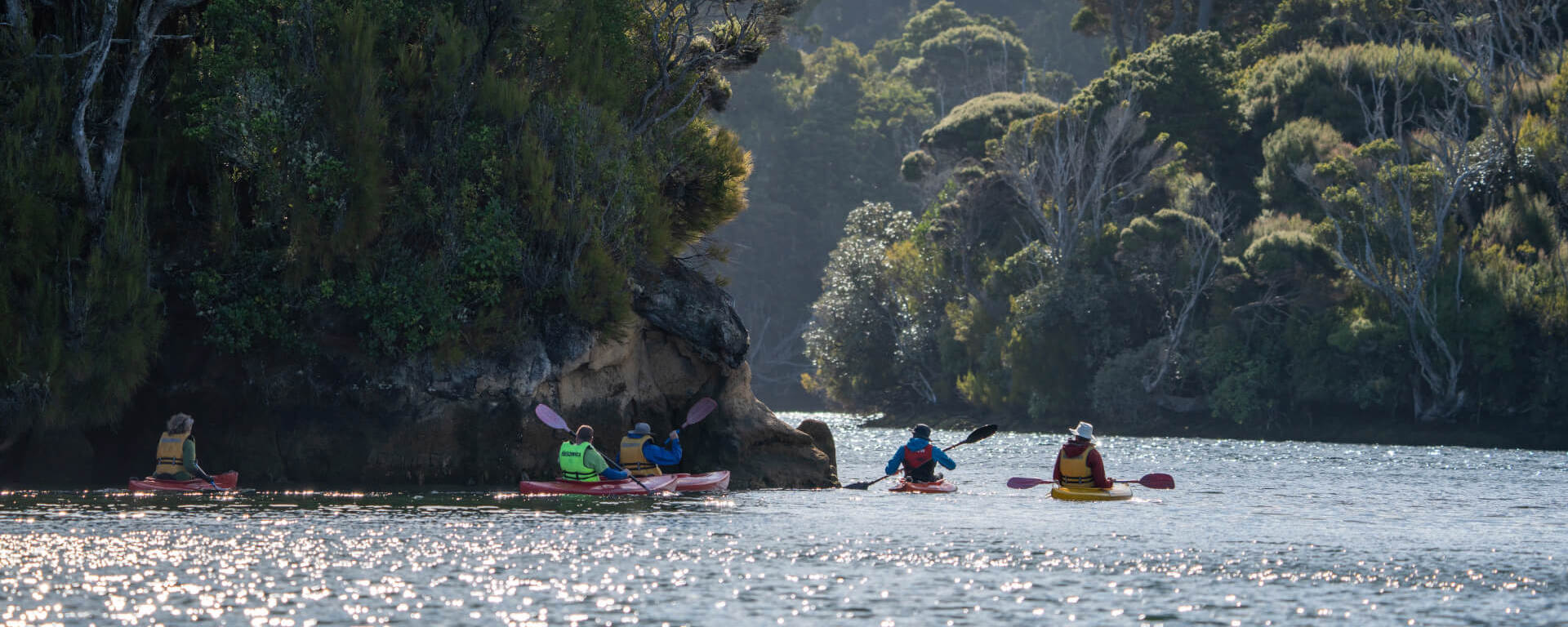 Group of kayakers paddling along a tranquil waterway on Stewart Island, surrounded by dense native forest and dappled sunlight reflecting off the water.