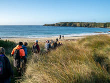 Group of hikers walking through grassy dunes towards a pristine sandy beach on Stewart Island, with calm blue ocean waves and a forested headland in the background.