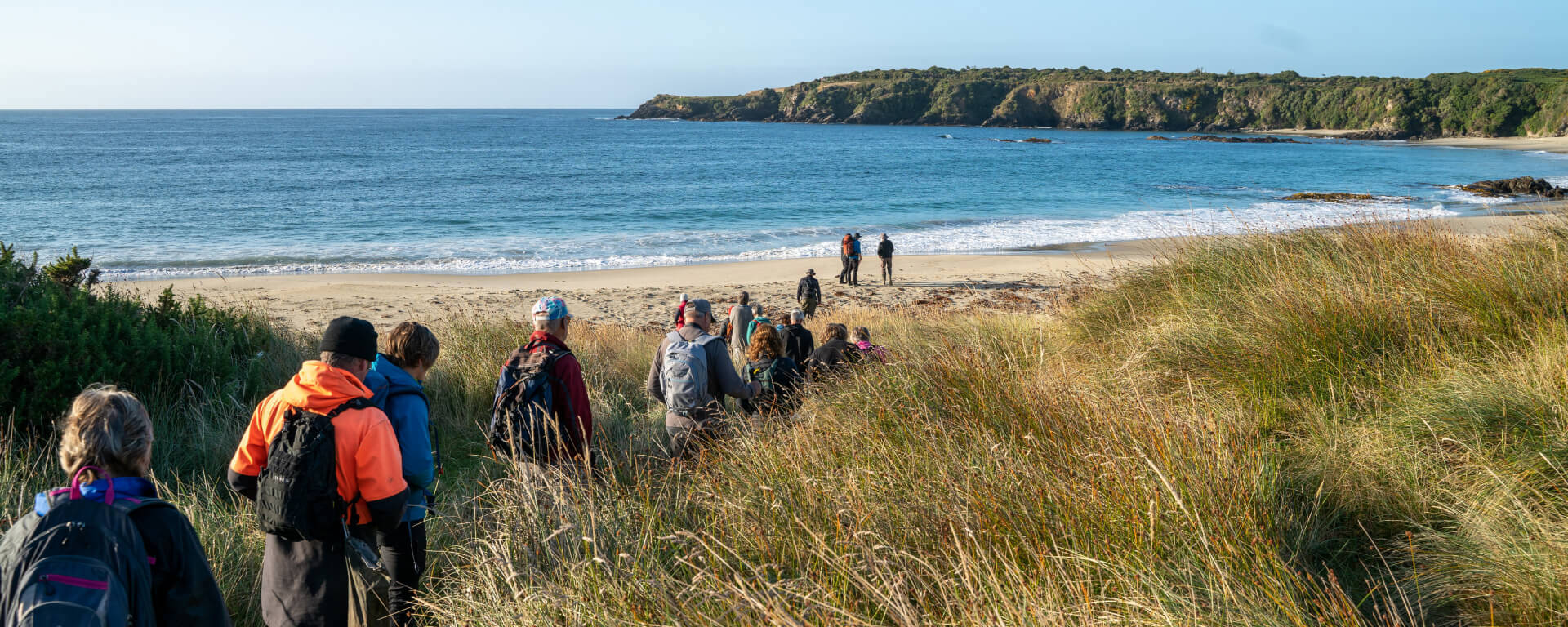 Group of hikers walking through grassy dunes towards a pristine sandy beach on Stewart Island, with calm blue ocean waves and a forested headland in the background.