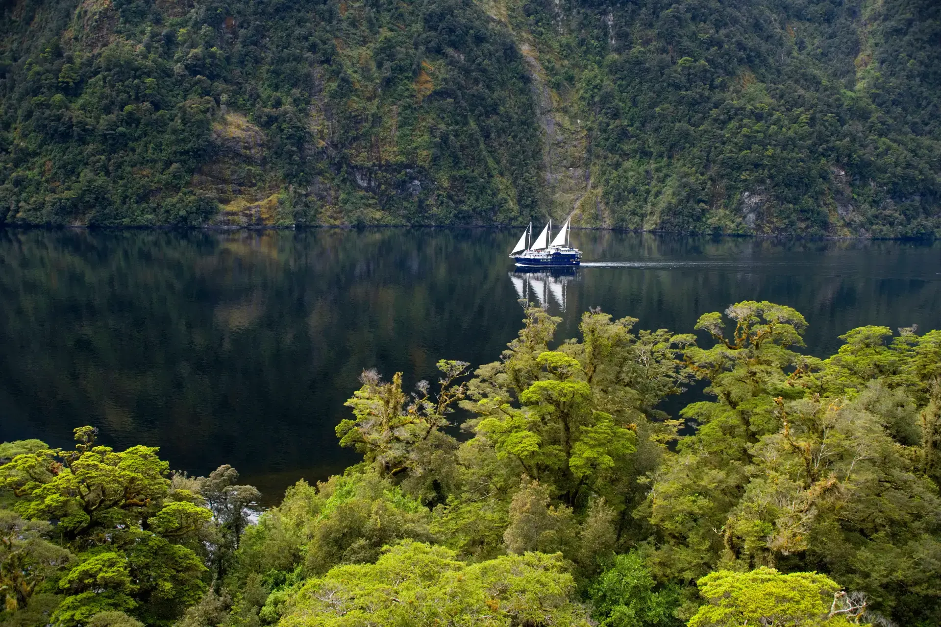 The Milford Mariner sails through the calm waters of Milford Sound, surrounded by lush green forest and steep mountains, with reflections on the dark fiord.