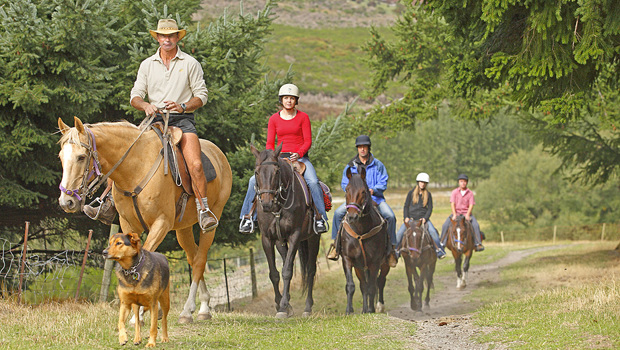 Walter Peak Horse Treks