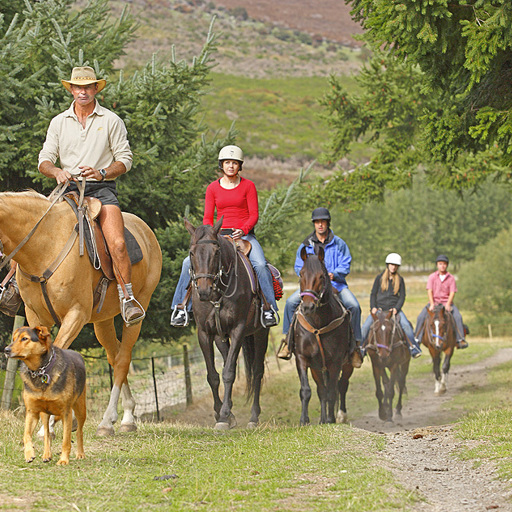 Walter Peak Horse Treks